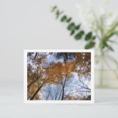 Carte Postale Couleurs et ciel d'autum (Debout devant)