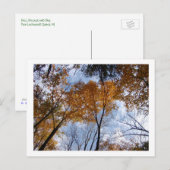 Carte Postale Couleurs et ciel d'autum (Devant / Derrière)