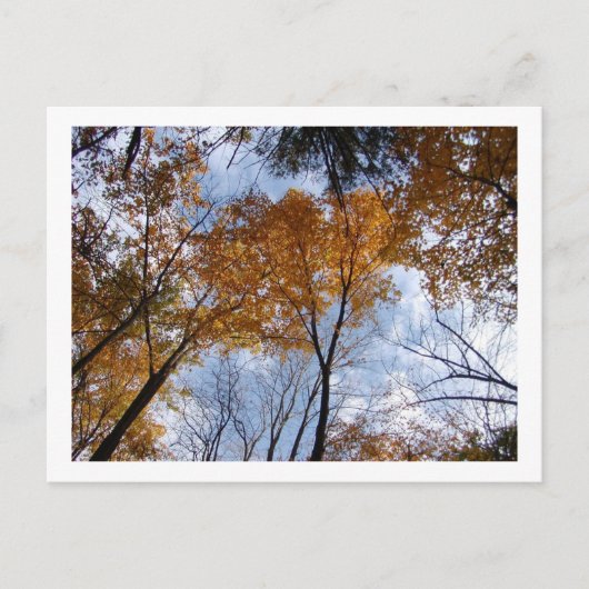 Carte Postale Couleurs et ciel d'autum (Devant)