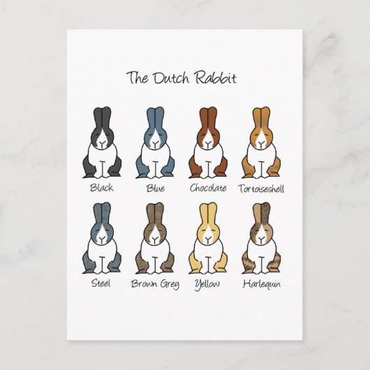 Carte Postale Couleurs hollandaises de lapin (Devant)