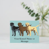 Carte Postale Couleurs Labrador Retriever (Debout devant)