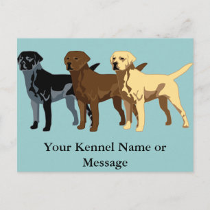 Carte Postale Couleurs Labrador Retriever