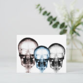Carte Postale Couleurs mixtes X-Ray Vision Skeleton Skulls (Debout devant)