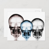 Carte Postale Couleurs mixtes X-Ray Vision Skeleton Skulls (Devant / Derrière)