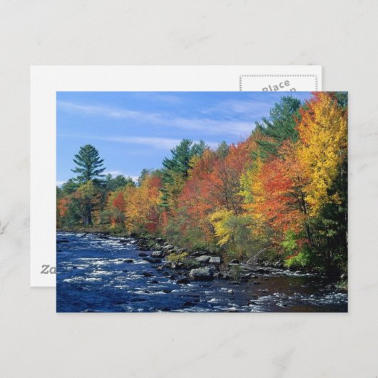 Carte Postale Couleurs Nouvelle-Angleterre (Devant / Derrière)