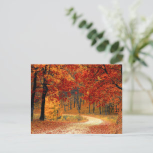 Carte Postale Couleurs saisonnières de l'automne