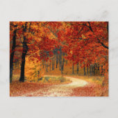 Carte Postale Couleurs saisonnières de l'automne (Devant)