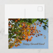 Carte Postale Couleurs septembre (Devant / Derrière)