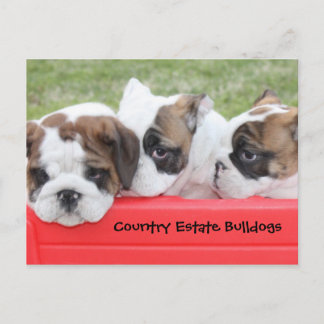 Carte Postale Country Estate Bulldogs Puppy Wagon