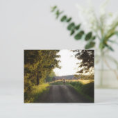 Carte Postale Country Girl (Debout devant)