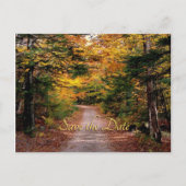 Carte Postale Country Road Automne Enregistrer la date (Devant)