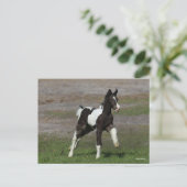 Carte Postale Coup de foin noir et blanc pour vannière tzigane (Debout devant)