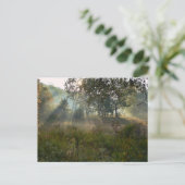 Carte Postale coup de soleil 07 (Debout devant)