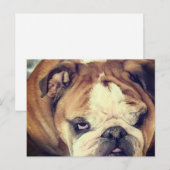 Carte Postale coup d'oeil puant de bouledogue (Devant / Derrière)