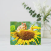 Carte Postale Coupe Chipmunk Yellow Sunflower Photo Peinture (Debout devant)