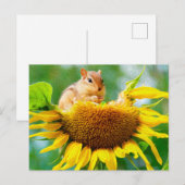 Carte Postale Coupe Chipmunk Yellow Sunflower Photo Peinture (Devant / Derrière)