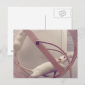 Carte Postale Coupe de roue (Devant / Derrière)