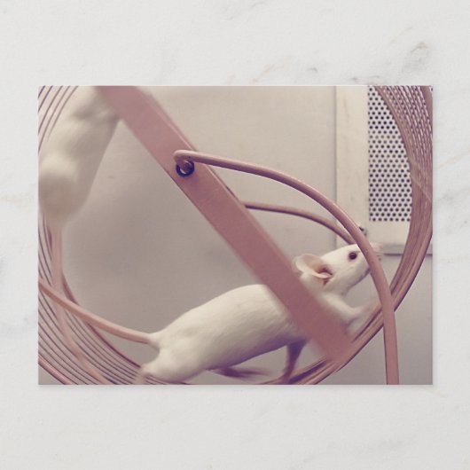 Carte Postale Coupe de roue (Devant)