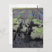 Carte Postale Coupe De Tourbe En Irlande (Devant / Derrière)