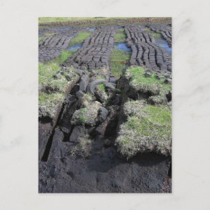 Carte Postale Coupe De Tourbe En Irlande