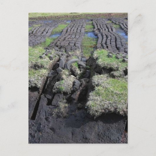 Carte Postale Coupe De Tourbe En Irlande (Devant)