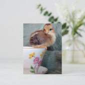 Carte Postale Coupe du monde (Debout devant)