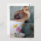 Carte Postale Coupe du monde (Devant / Derrière)