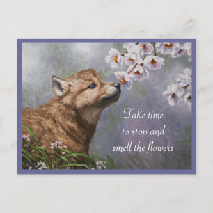 Carte Postale Coupe et fleurs de loup gris mignonne pour bébé