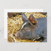 CARTE POSTALE COUPER (Devant / Derrière)