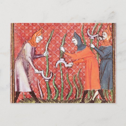 Carte Postale Couper les arbres, de Ovide Moralize (Devant)