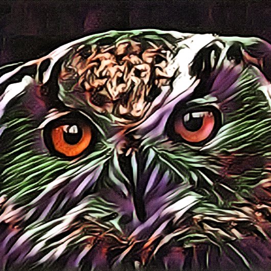 CARTE POSTALE COUPER OWL