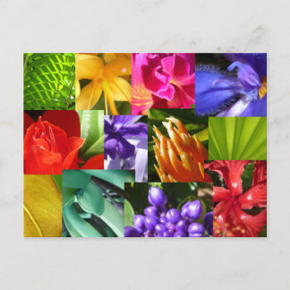 Carte Postale Coupez votre monde