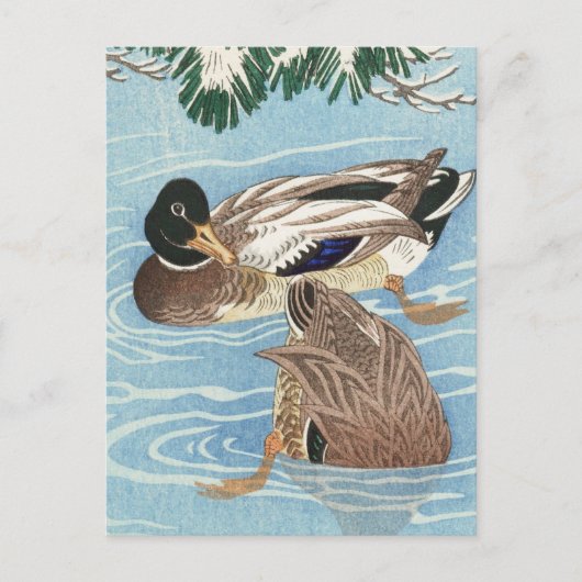 Carte Postale Couple de canards dans le Qater par Ohara Koson (Devant)