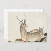 Carte Postale Couple de cerfs Vintage (Devant / Derrière)