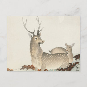 Carte Postale Couple de cerfs Vintage