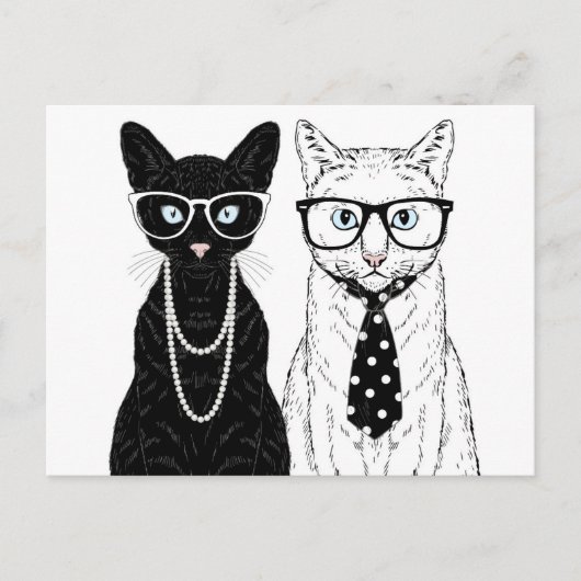 Carte Postale Couple de chats (Devant)