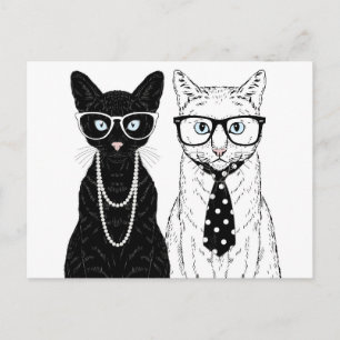 Carte Postale Couple de chats