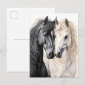 Carte Postale Couple de chevaux Cheval noir et blanc Postcrossin (Devant / Derrière)