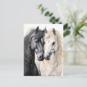 Carte Postale Couple de chevaux Cheval noir et blanc Postcrossin (Debout devant)
