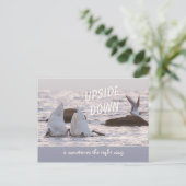 Carte Postale Couple de cygne à l'envers CC0758 réfléchi (Debout devant)