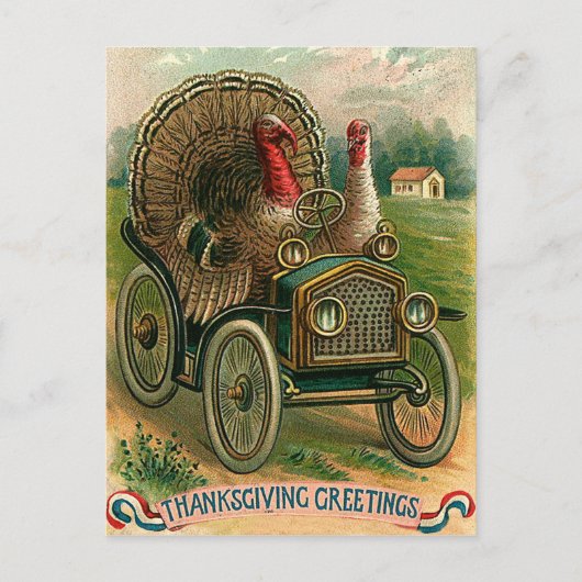 Carte Postale Couple de dindes sur une voiture classique, drôle (Devant)