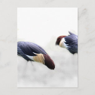 Carte Postale couple de grues personnalisation personnalisation 
