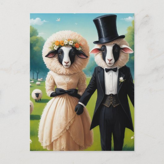 Carte Postale Couple de mouton adorable en Mariage (Devant)