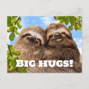 Carte Postale Couple de paresseux
