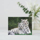 Carte Postale couple de tigres (Debout devant)