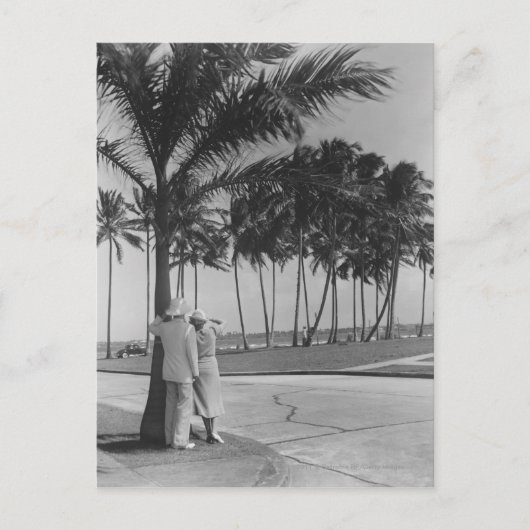 Carte Postale Couple debout à palmier Vue arrière B&W (Devant)