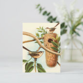 Carte Postale Couple d'oiseaux sur un nid perché sur une branche (Debout devant)