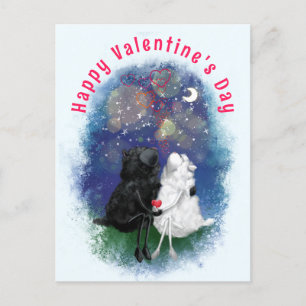 Carte Postale Couple Lamb Love Valentine's Day Card - Drôle