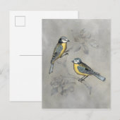 Carte Postale Couples argentés d'oiseau de la volière | (Devant / Derrière)