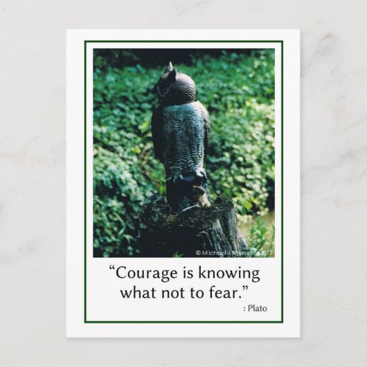 Carte Postale Courage en tout (Devant)